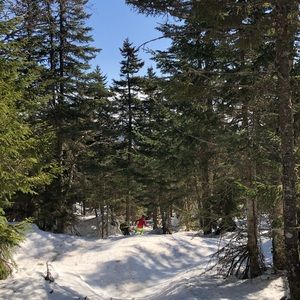 Meet your Posher, Tatiana